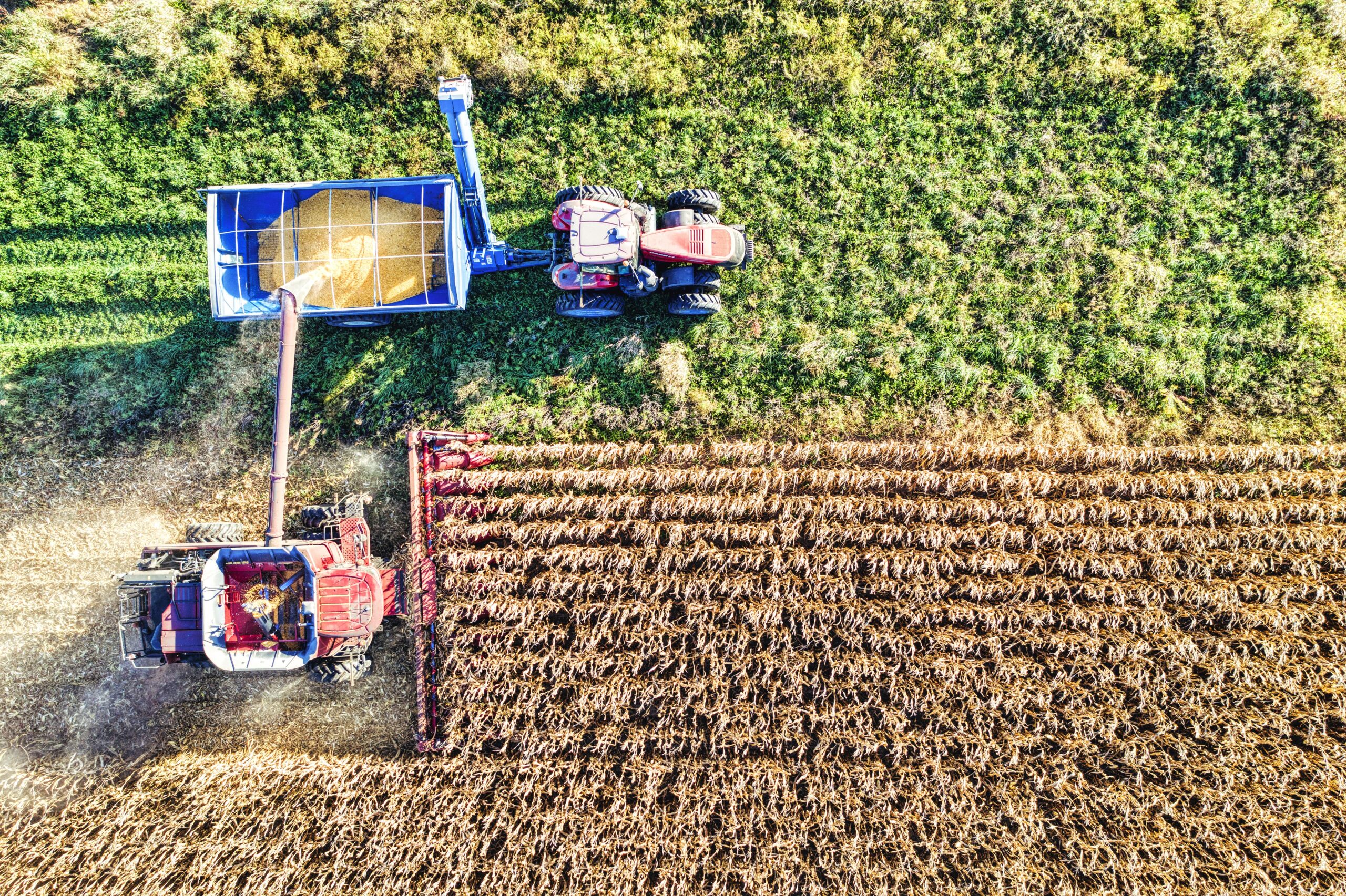 Drone captures a vivid scene of harvesting crops in Minnesota with a combine and tractor.